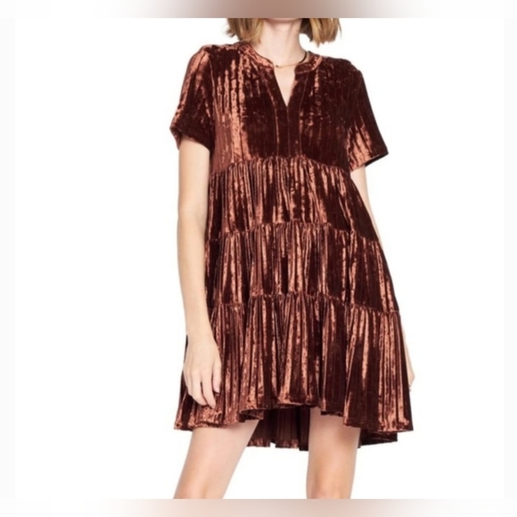 En Saison Dresses & Skirts - En Saison Crushed Velvet Womens Size M Babydoll Dress